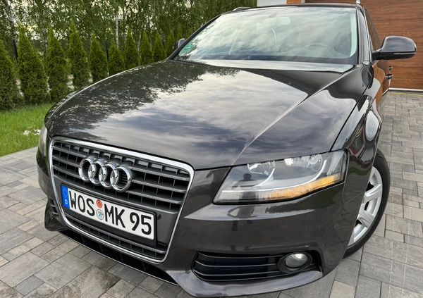 Audi A4 cena 24900 przebieg: 222534, rok produkcji 2008 z Otmuchów małe 781